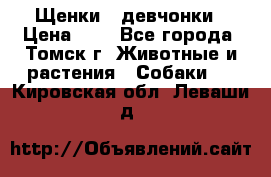 Щенки - девчонки › Цена ­ 2 - Все города, Томск г. Животные и растения » Собаки   . Кировская обл.,Леваши д.